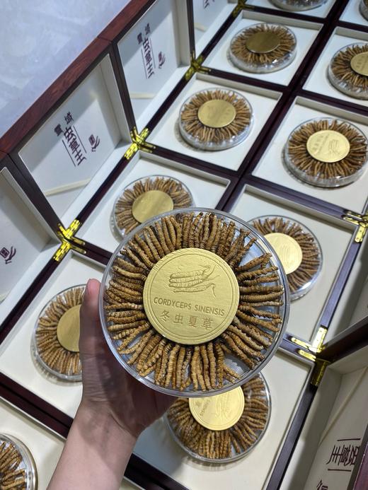 云南西藏野生虫草·礼盒装100根装 商品图2