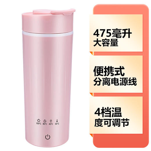 电热杯小型便携式电加热水杯保温一体烧水壶自动迷你养生 壶旅行 商品图6