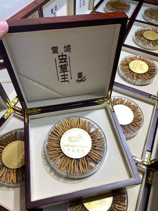 云南西藏野生虫草·礼盒装100根装 商品图7