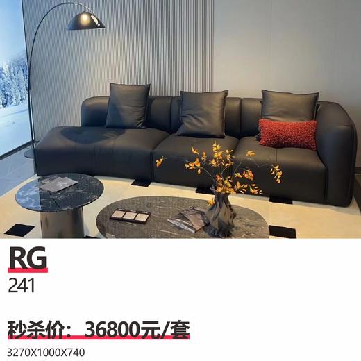 RG  型号：241 商品图0