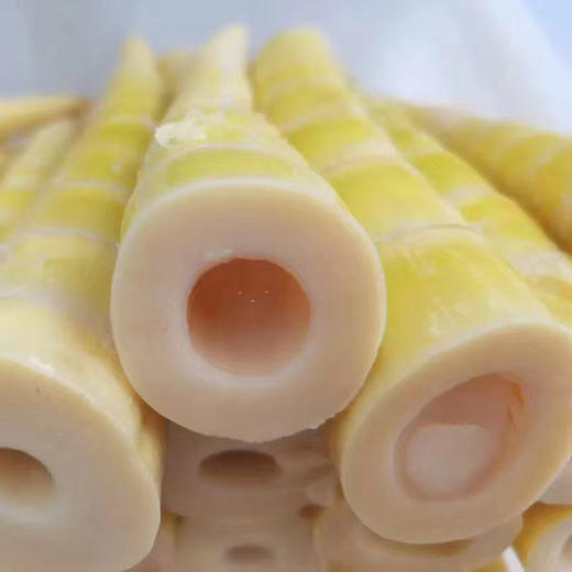 有机方竹笋笋尖 商品图10