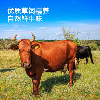 京东京造原切牛肉粒100g 五香味牛肉干肉脯风干牛肉高蛋白年货零食凑单 /休闲食品 /肉类零食 /牛肉类 商品图6