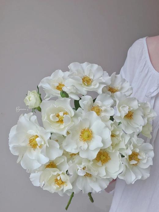 多头玫瑰花婚纱10支 商品图1