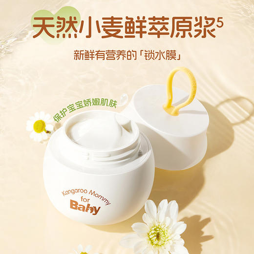 【拍1发2 拍2发5】宝宝护肤必备 应对干痒泛红 婴儿小麦鲜萃原浆保湿霜/防皴霜（50g） 商品图3