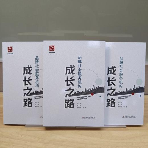 品牌社会服务机构成长之路 商品图2