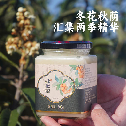 蜂场直发【小酿蜜】攀枝花高原枇杷蜜 自然封盖成熟蜜 冬蜜上品 四季常润 商品图0