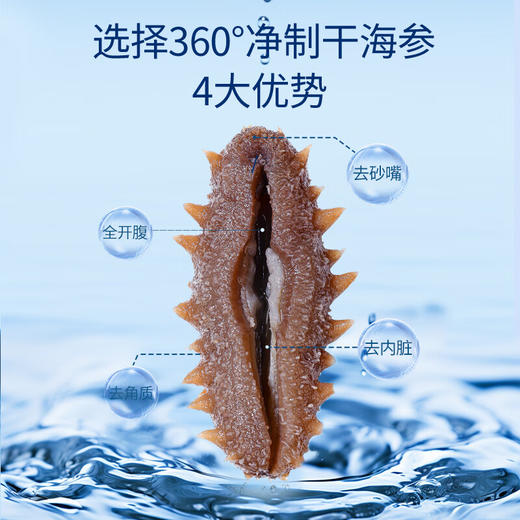 同仁堂（TRT）北京同仁堂大连淡干海参辽参105g27-32只海参干货SY 商品图1