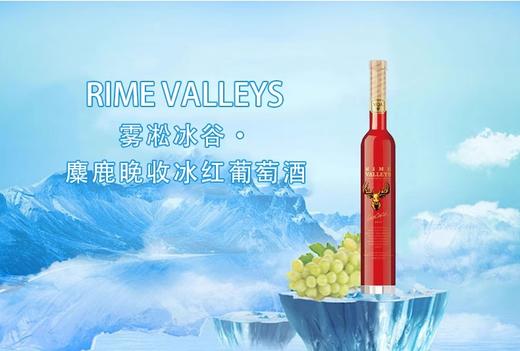 【醇正加拿大原瓶进口】雾凇冰谷·麋鹿晚收红葡萄酒 商品图8