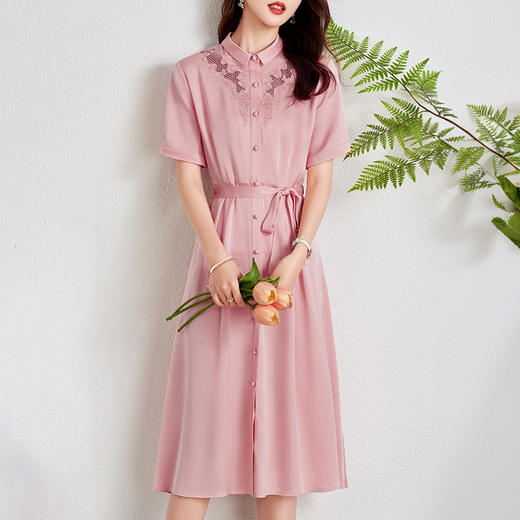 LS-2509真丝连衣裙女2024新款夏季刺绣知性设计感大码桑蚕丝裙子 商品图1