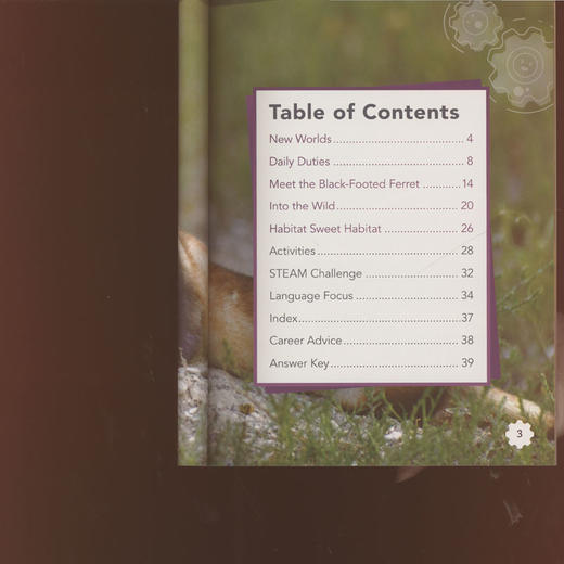 STEAM英语分级读物 第2级 A辑(1-5) 商品图3