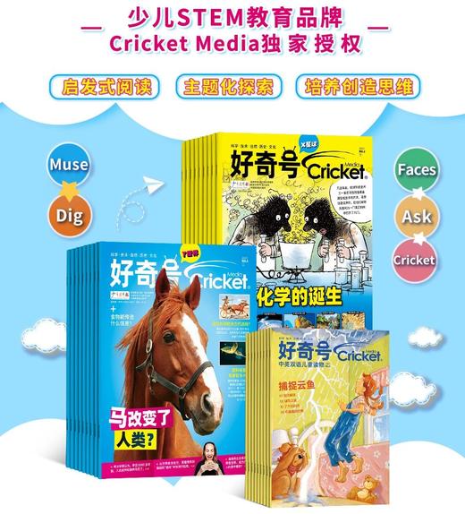 【杂志合辑】好奇号12期（可跨年） 商品图4