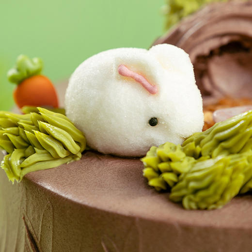 【森林兔宝宝】巧克力鲜果蛋糕 | 旋木烘焙 商品图2