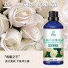 【预售】有机白玫瑰纯露 2025当季新露 海外进口新鲜纯露 保加利亚原产地直供 商品缩略图0