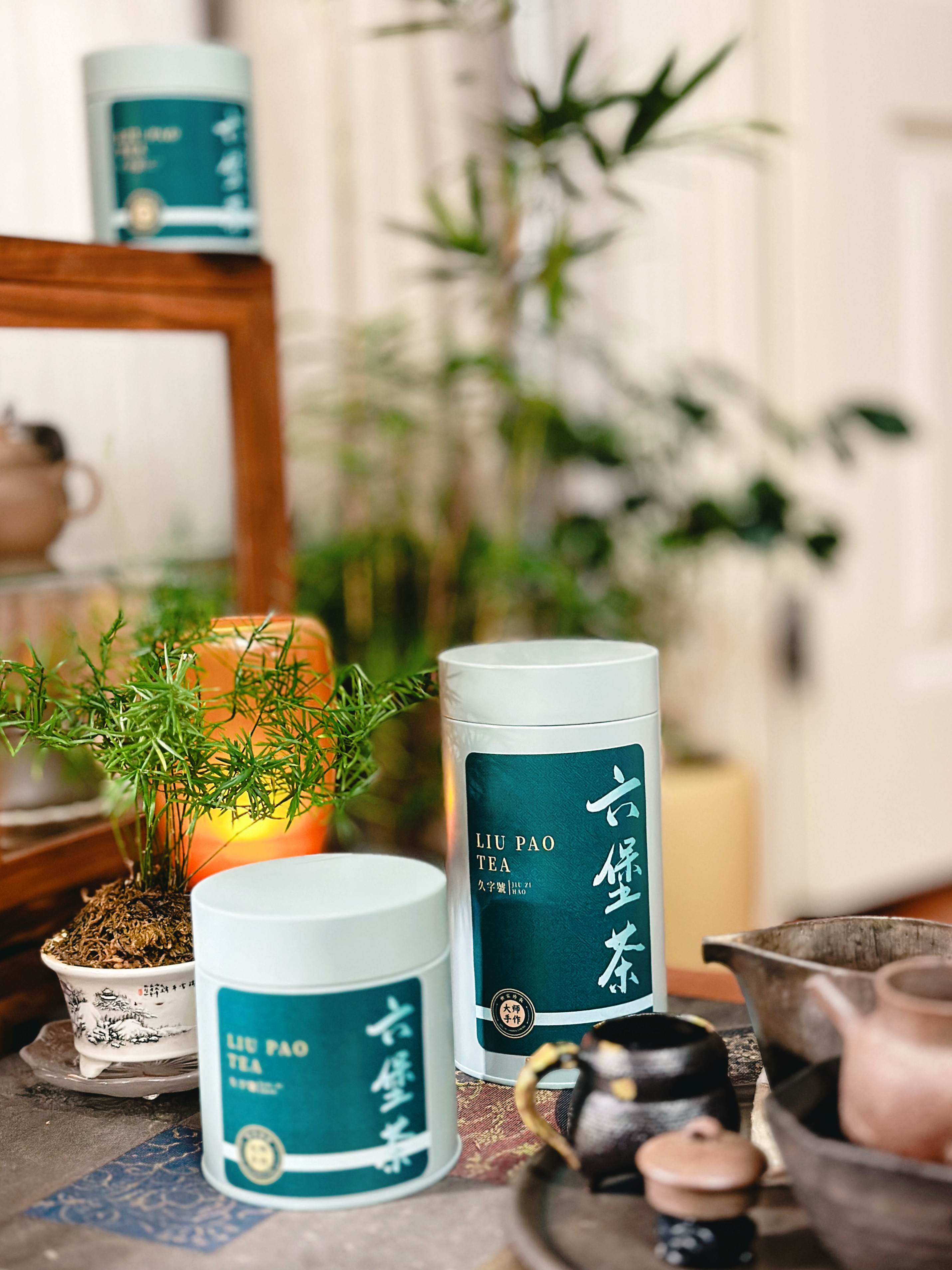 逍遥堪自乐，浩荡信「无忧」  老六堡茶18102系列