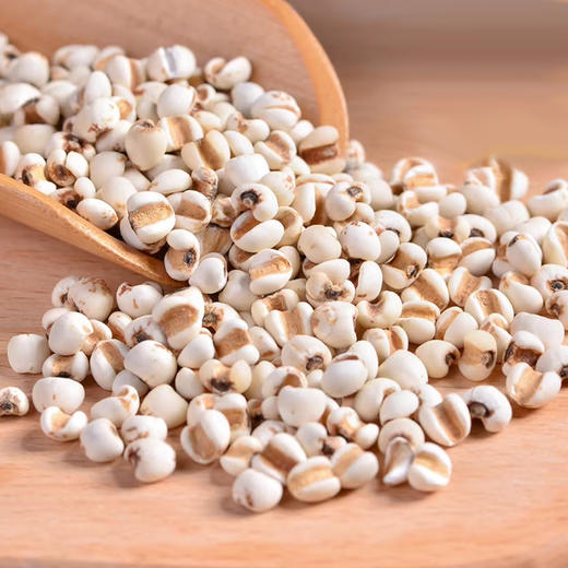 【杨芊一】福林堂薏仁米300g/瓶 商品图2