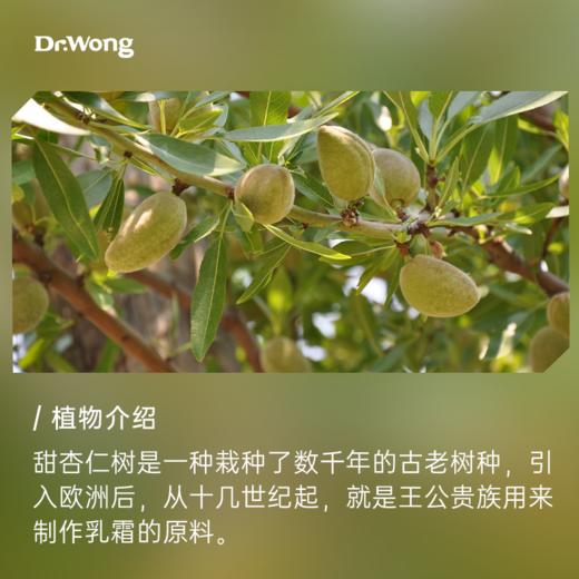 「甜杏仁」基础油 商品图1