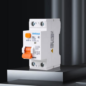 电磁式 漏电SBL1/2P系列