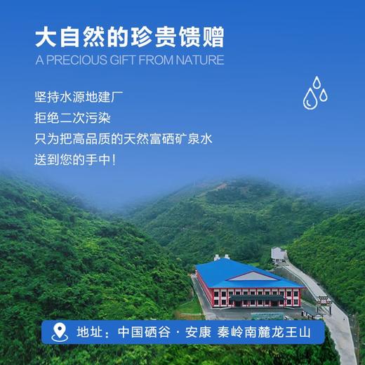 龙王泉  5L*4桶整箱装 商品图6