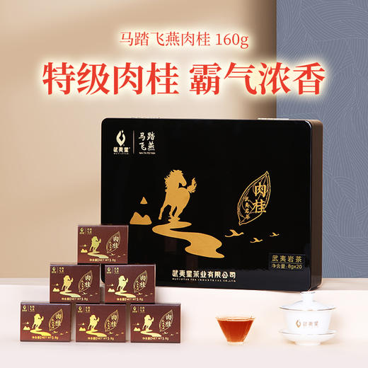 武夷星 马踏飞燕 肉桂 武夷岩茶 礼盒装160g 商品图0