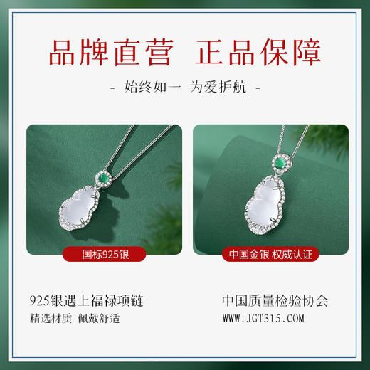Winy925纯银遇上福禄项链送女友闺蜜节日生日礼物 商品图6