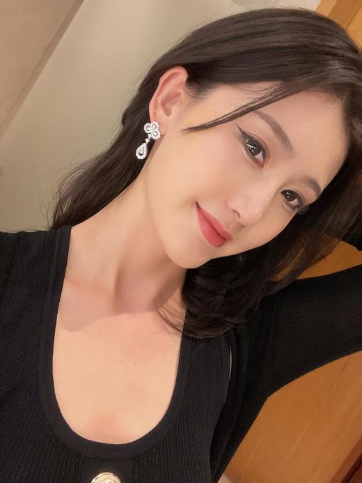 海瑞温斯顿HW花园系列钻石长款耳钉（SLB） 商品图10