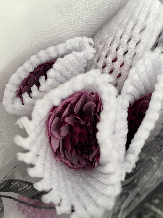 国产大丽花-【凯撒创意】 商品图2