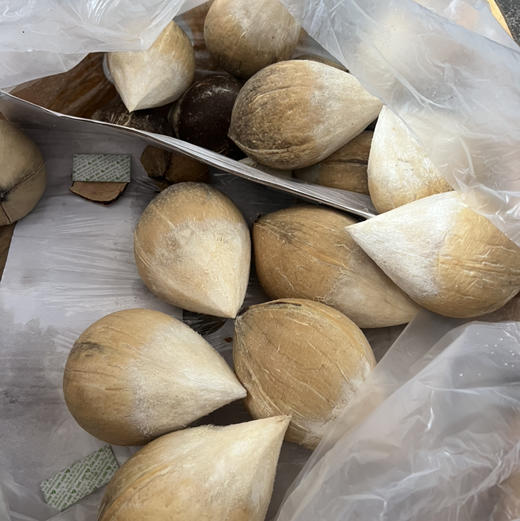 越南奶香椰皇32# 中果7.8/个） 商品图7