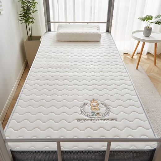 【柔感护脊，可折叠易收纳】乳胶床垫 家用榻榻米床褥 出租房学生宿舍床垫 单人上下铺寝室软褥子 乳胶抗菌 针织刺绣款床垫 商品图2