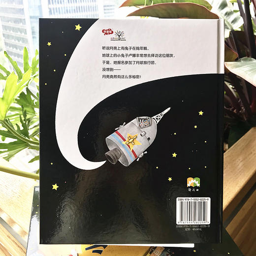 月亮的秘密——小兔子的月球之旅 商品图2