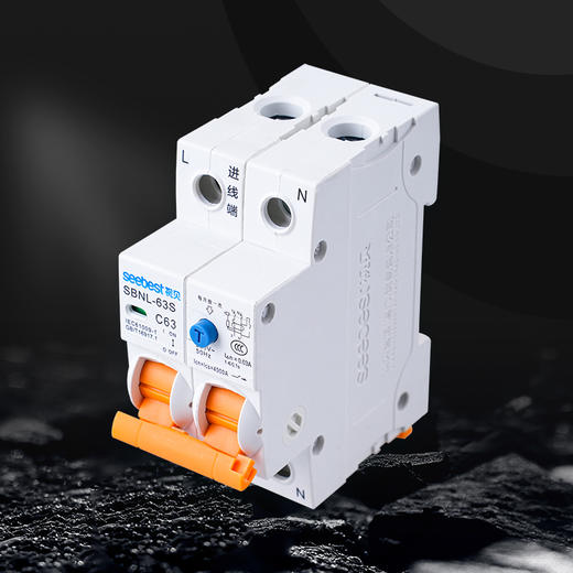DPN 漏电 SBNL-63S(小体积) C型/2P系列 商品图0