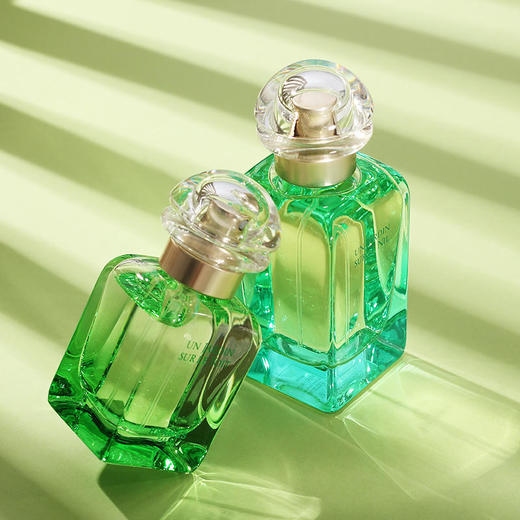 HERMES爱马仕合集尼罗河花园李先生屋顶花园100ml（SLB） 商品图4