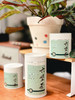 茉莉「如兮」新才绽，香飘浓郁百花间  老六堡茶22016系列 花香 商品缩略图0