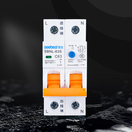 DPN 漏电 SBNL-63S(小体积) C型/2P系列 商品图2