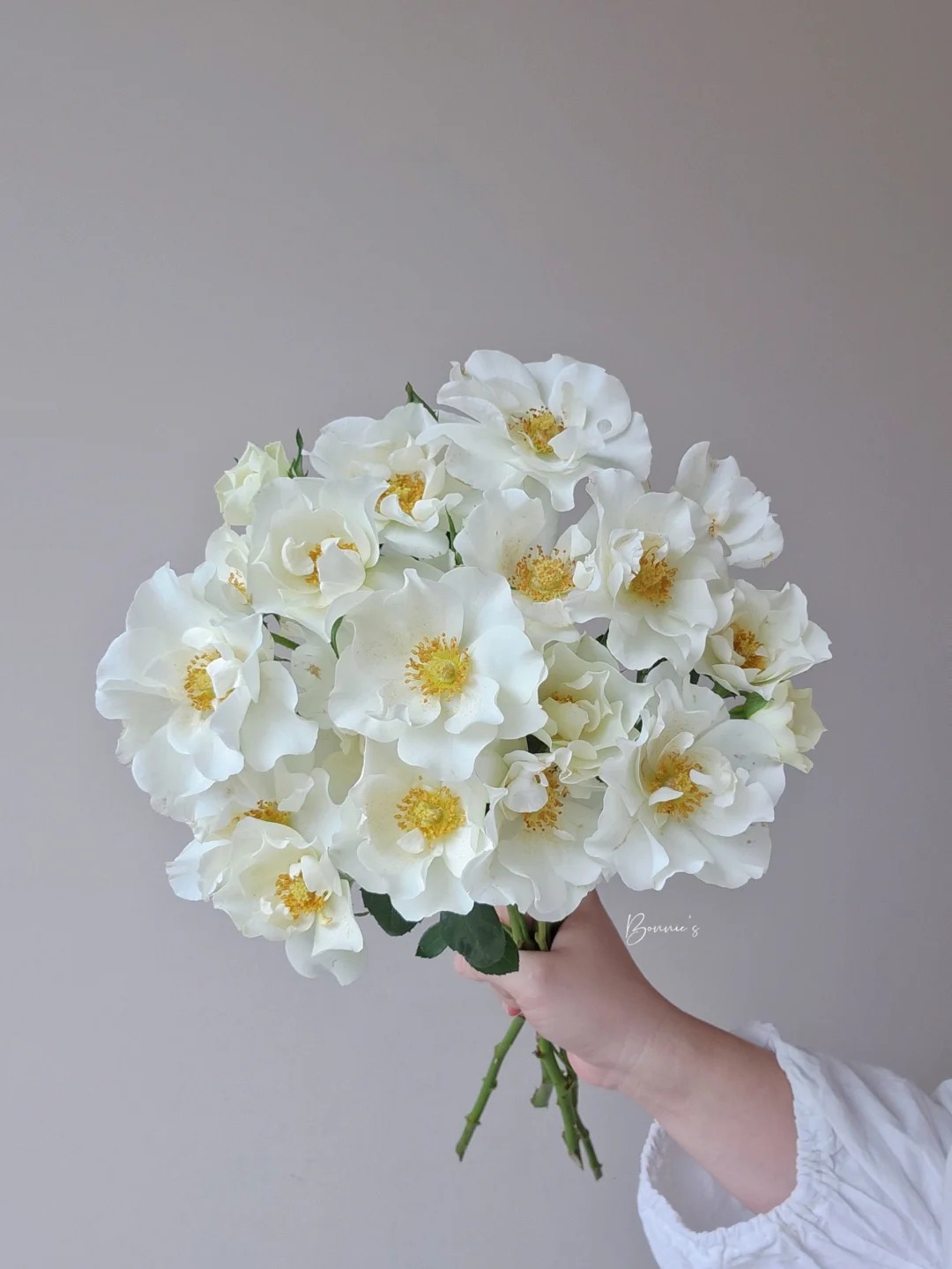 多头玫瑰花婚纱10支