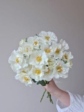 多头玫瑰花婚纱10支