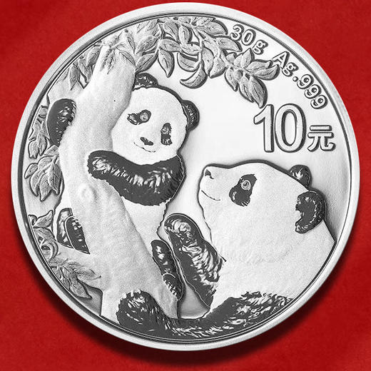 2021年世界五大投资银币，一套5枚，中国金币封装套装 商品图5