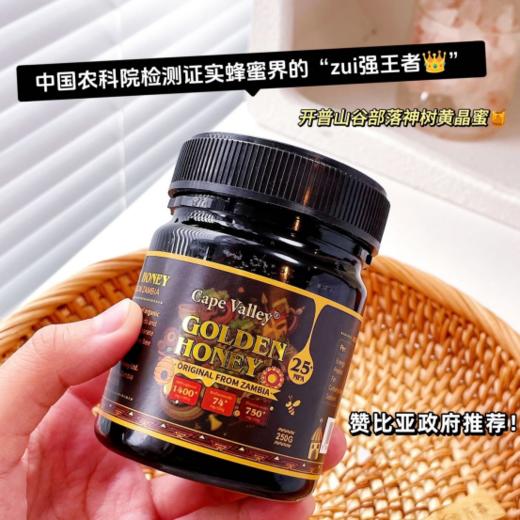 💕💕【开普山谷部落神树黄晶蜜MPA25+】🌟纯野生蜜蜂，无人工育蜂🍒（无干预） 🌟产于人迹罕至的原始森林，无污染 商品图0