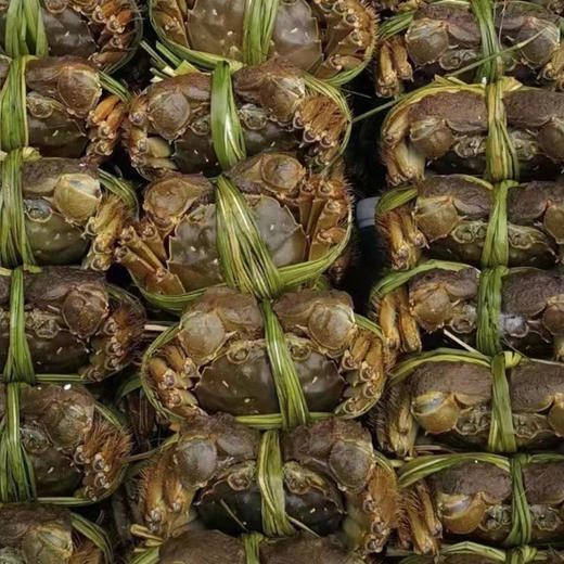 【秘制花雕熟醉蟹】开箱即食，固城湖核心区的有机大闸蟹，肉质饱满，酒香浓郁 商品图6