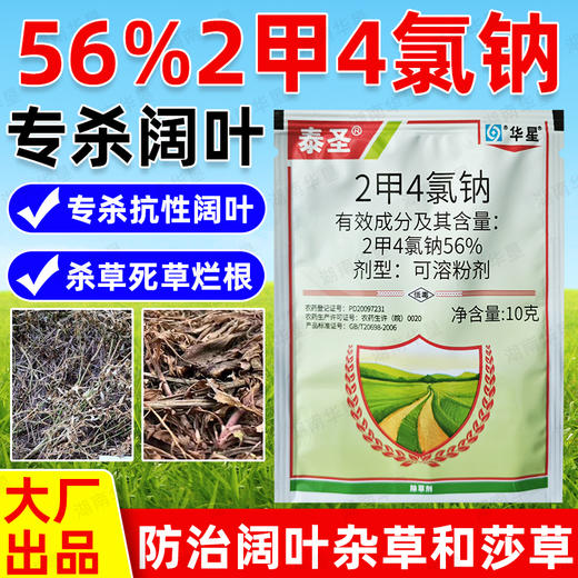 56%2甲4氯钠二甲四氯钠水稻小麦玉米地水花生节节草专用除草剂 商品图1