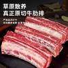 精选草原散养原切四肋牛排2500g家用炖煮食材 商品缩略图1