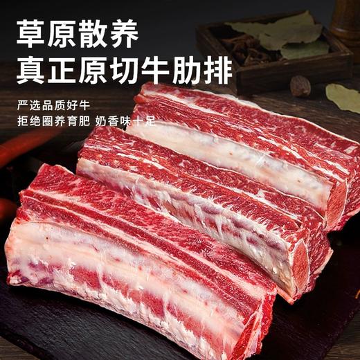 精选草原散养原切四肋牛排2500g家用炖煮食材 商品图1