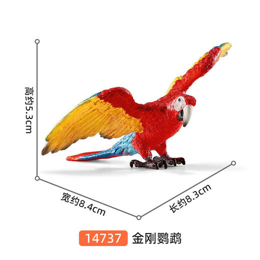 思乐 金刚鹦鹉SCHC14737 商品图1
