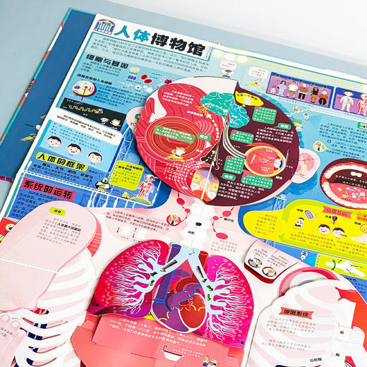 《好玩大科普系列：人体大探秘》 商品图7
