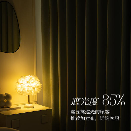 【悦尔】金蝉柔和雪尼尔浮雕肌理窗帘 商品图2