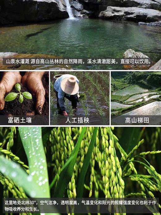 （乡村振兴商品）咸丰硒都原米 商品图1