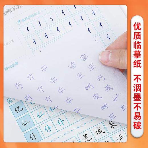 墨点字帖 楷书入门基础教程 基础笔画正楷字帖字帖楷书小学儿童练字帖成人楷书字帖练字板 商品图4