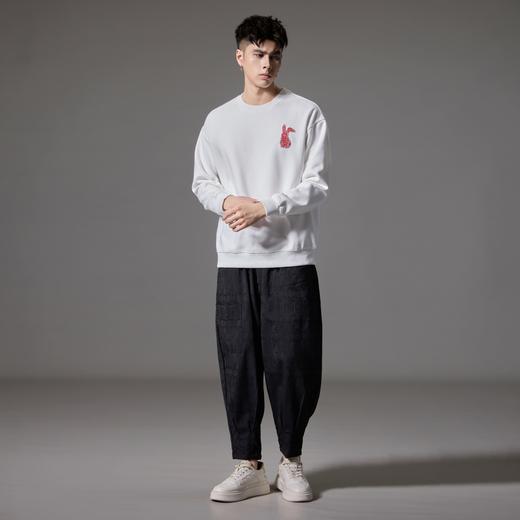 PINLI品立2024秋季新款男士宽松休闲卫衣潮牌兔子贴布绣长袖上衣BG243109018 商品图1