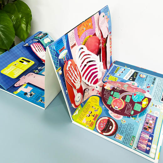 《好玩大科普系列：人体大探秘》 商品图3