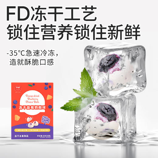 伊威冻干蓝莓奶酪球20g 商品图9