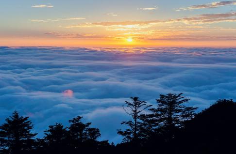 【西岭雪山 】秋季活动限时特惠！门票+交通索道往返59.9元抢！西岭登高轻徒步，遛娃好去处！多种玩法，等您探索 ！…赶紧号召亲友抢票，错过后悔！ 商品图0